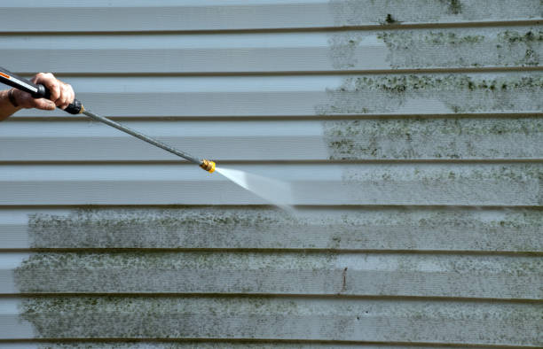 Best Concrete Pressure Washing  in Christopher, IL