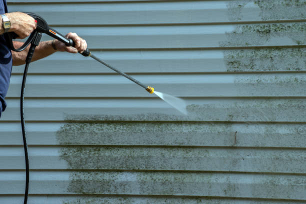 Best Pressure Washing Services Near Me  in Christopher, IL